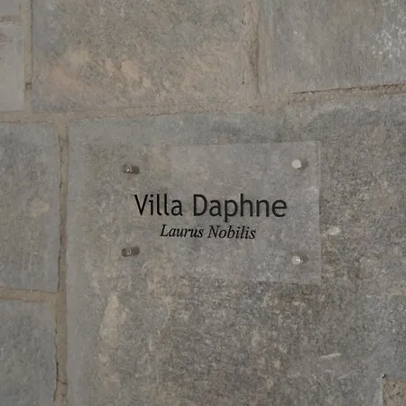 Avli Luxury 卡尔帕索斯